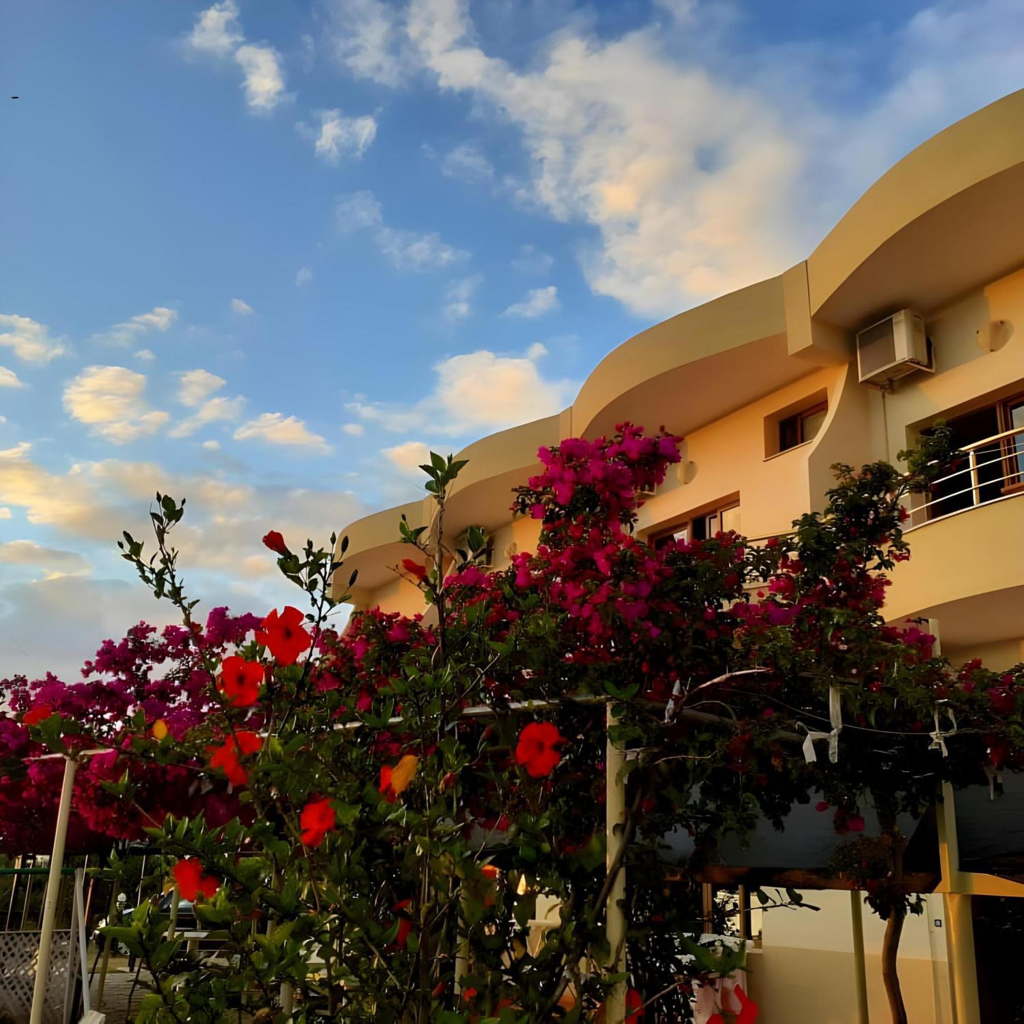 Hotel Sirena Radhimë المظهر الخارجي الصورة